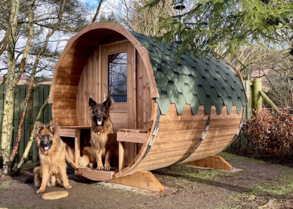 german shepards in front of sauna side view