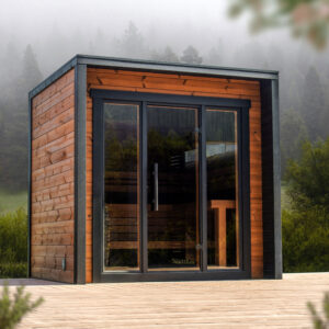 Monarch 2 modern sauna